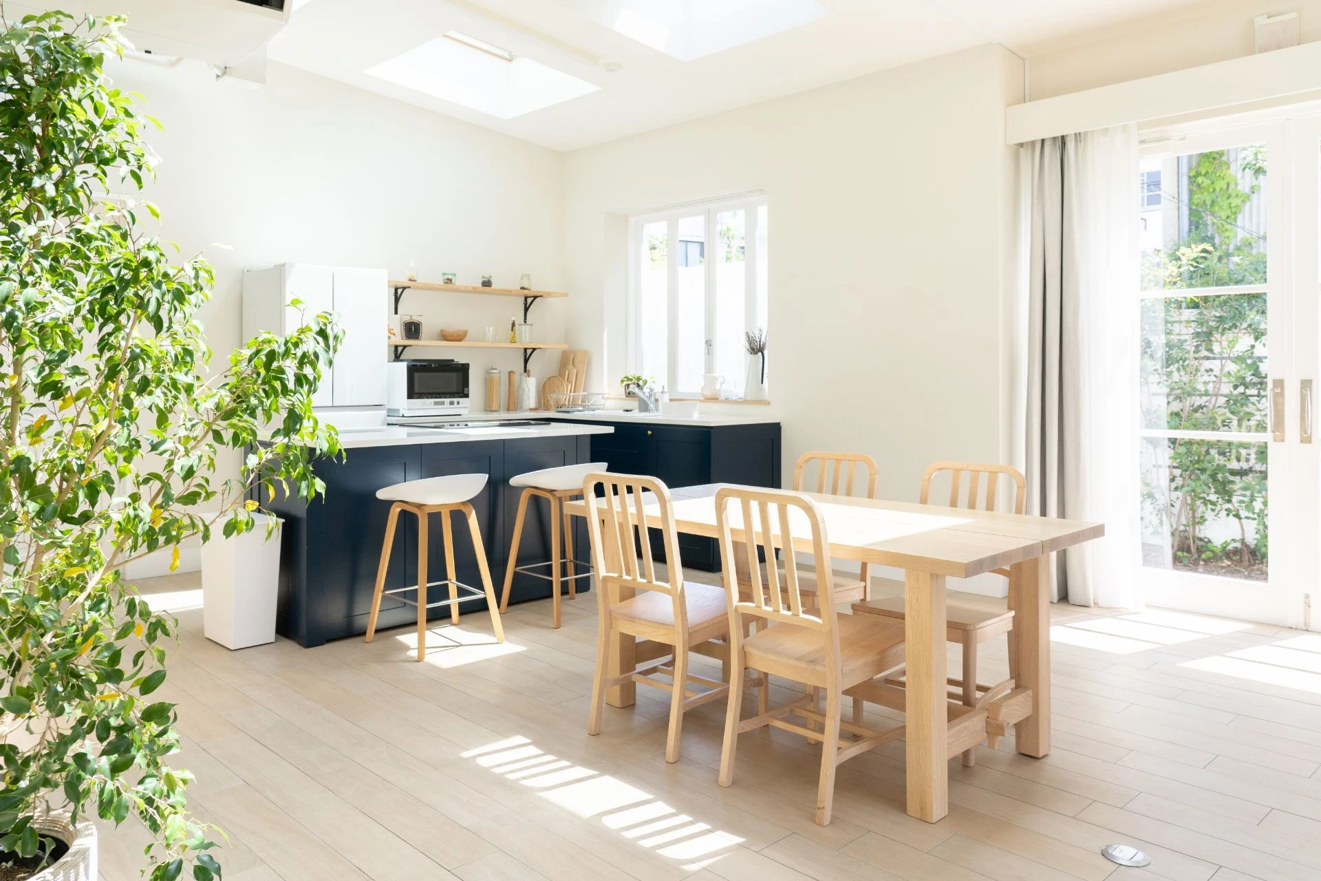 AdobeStock_448159165