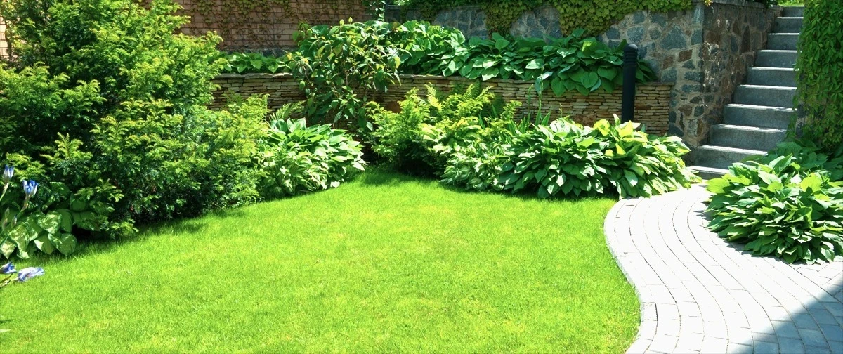 防犯と心地よさを両立する植栽選び