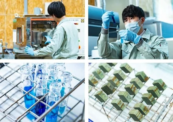 1975年より研究開発