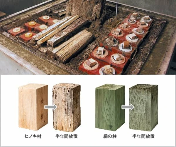 腐れ試験（室内）